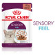 Royal Canin Sensory Feel Katzen-Nassfutter