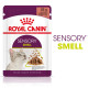 Royal Canin Sensory Smell Katzen-Nassfutter