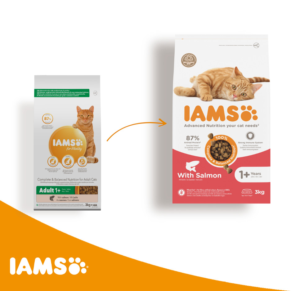 Iams For Vitality Adult Zalm kattenvoer