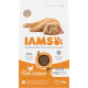 Iams Kitten Katzenfutter mit frischem Huhn