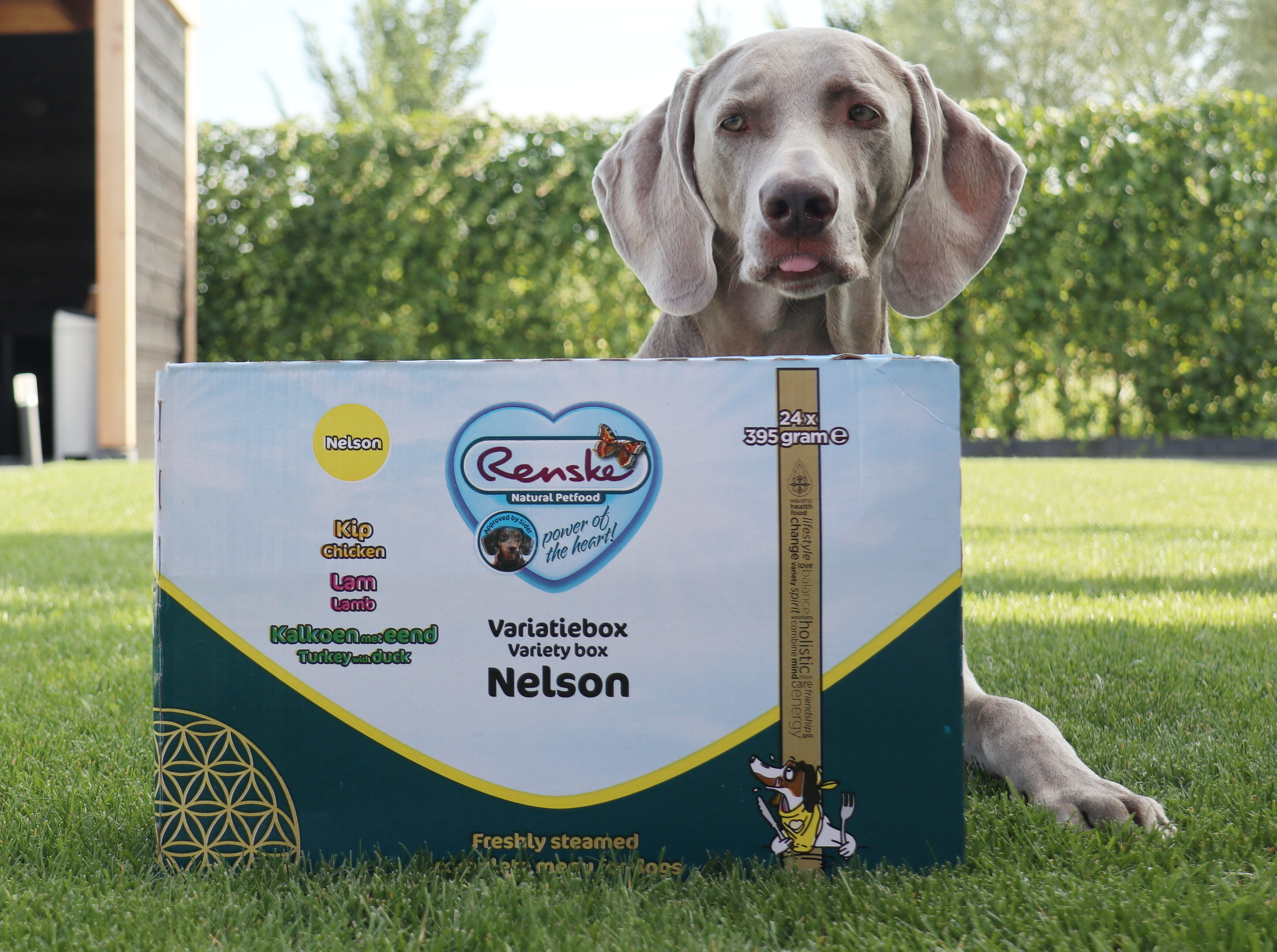 Renske Multibox Nelson Hunde-Nassfutter (24 x 395 gr)