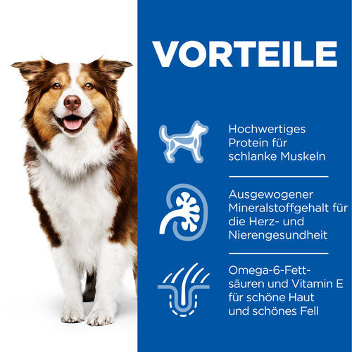 Hill's Mature  7+ Active Longevity Huhn (in Dosen) Hundefutter 
