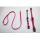 Luca Hundeleine mit Halsband gummiert rutschfest fuchsia