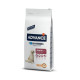 Advance Maxi Senior mit Huhn und Reis Hundefutter