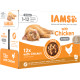 Iams Delights Kitten mit Huhn in Sauce Nassfutter Katze (12x85 gr)