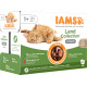 Iams Delights Adult Landkollektion in Sauce Nassfutter Katze (12x85 gr)