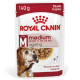 Royal Canin Medium Ageing 10+ Nassfutter