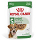 Royal Canin Mini Ageing Hunde-Nassfutter