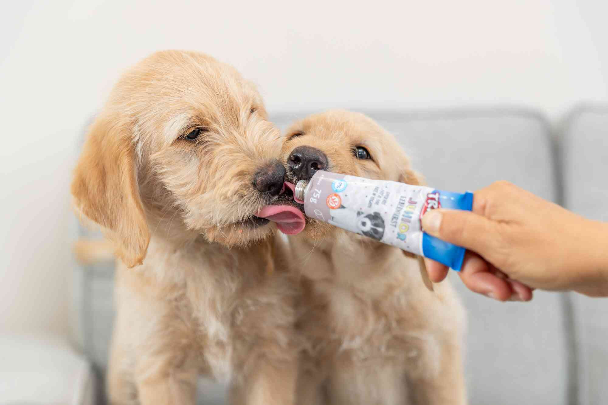 Trixie Junior leverworst voor puppies