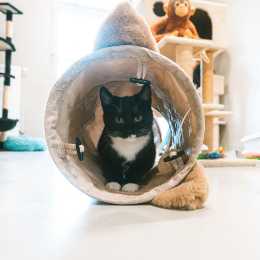 Speeltunnel Cozette voor de kat Speeltunnel Cozette voor de kat