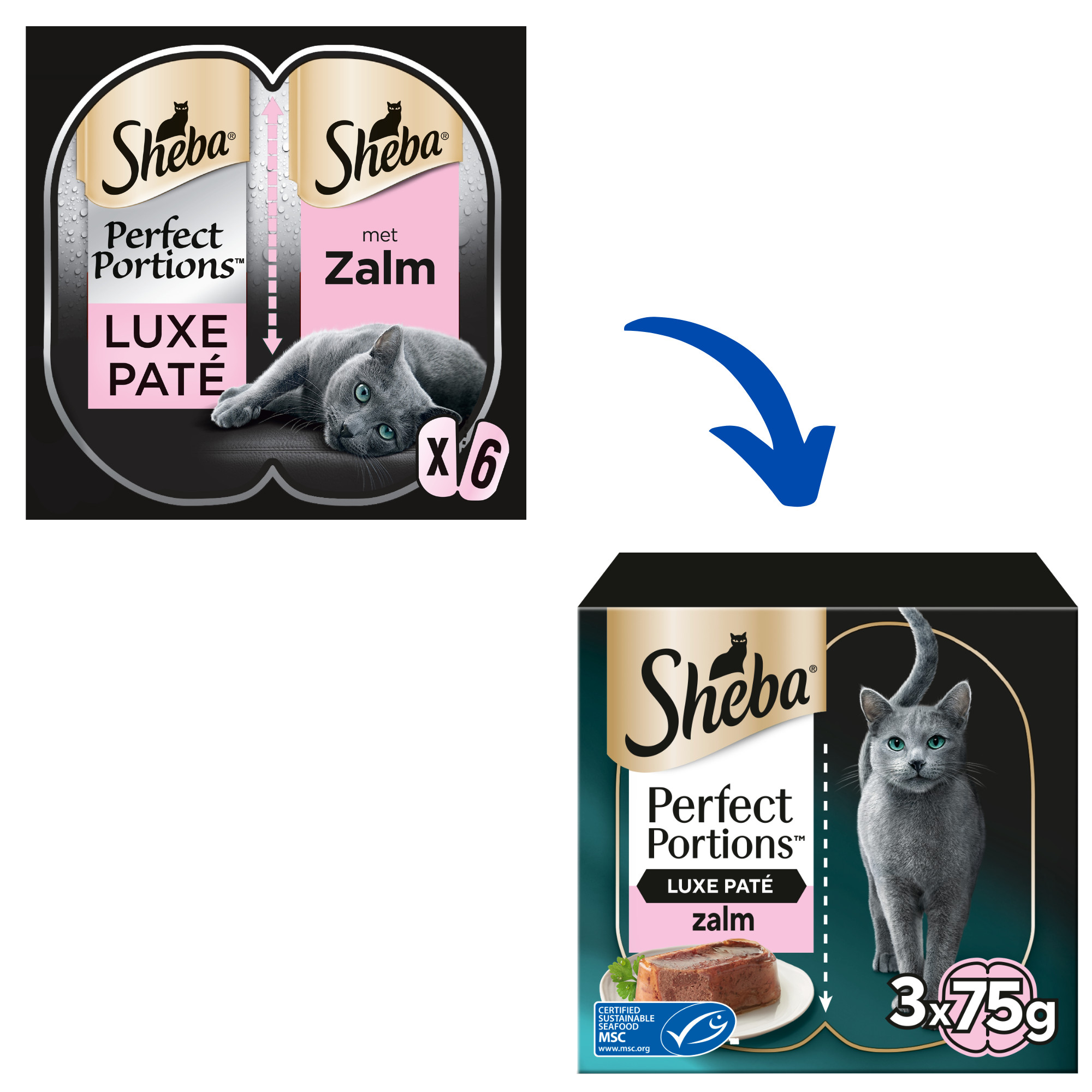 Sheba Perfect Portions Paté met Zalm Kattenvoer