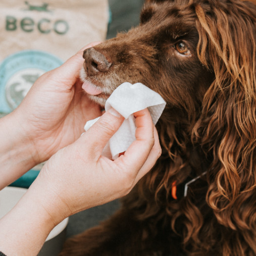 Beco Bamboo Dog Wipes hypoallergene doekjes hond (80 stuks)