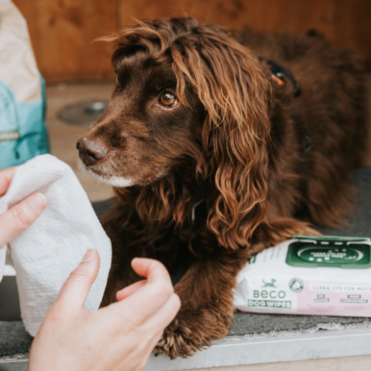 Beco Bamboo Dog Wipes hypoallergene doekjes hond (80 stuks)