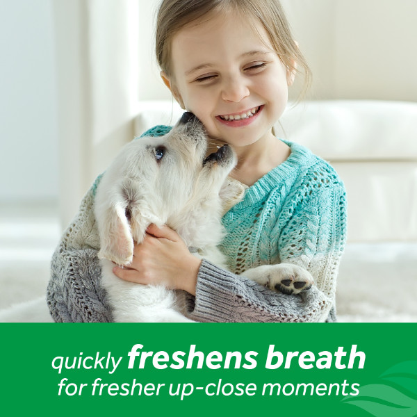 Tropiclean Fresh Breath Foam gebitsreiniging hond