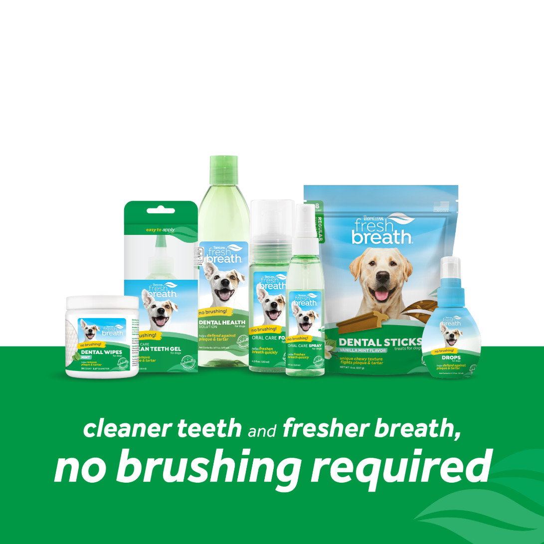 Tropiclean Fresh Breath Foam gebitsreiniging hond