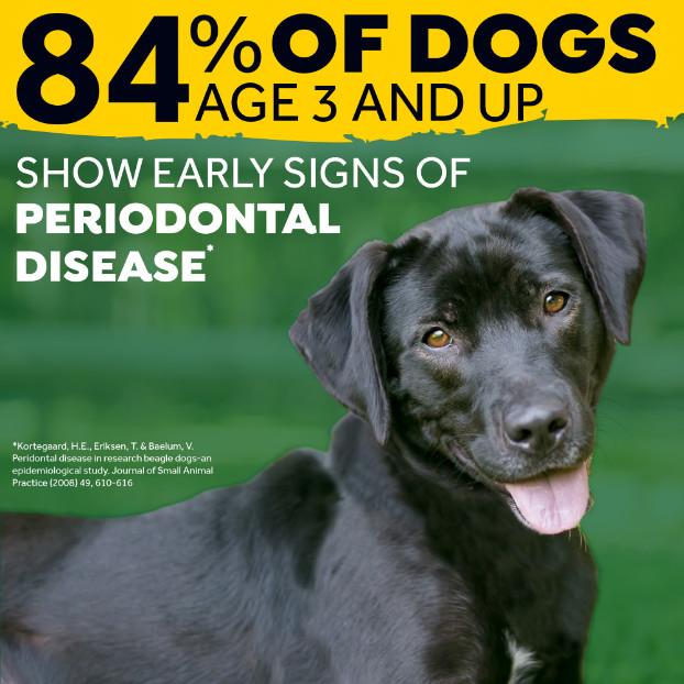 Tropiclean Fresh Breath Foam gebitsreiniging hond