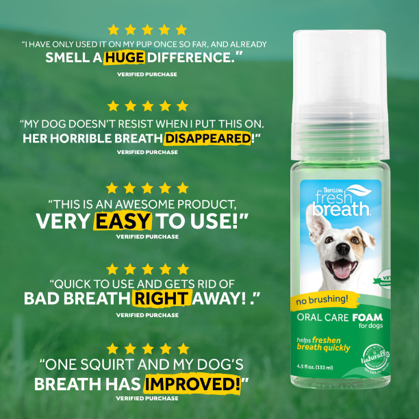 Tropiclean Fresh Breath Foam gebitsreiniging hond