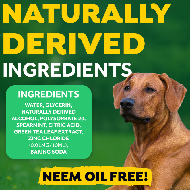 Tropiclean Fresh Breath Foam gebitsreiniging hond