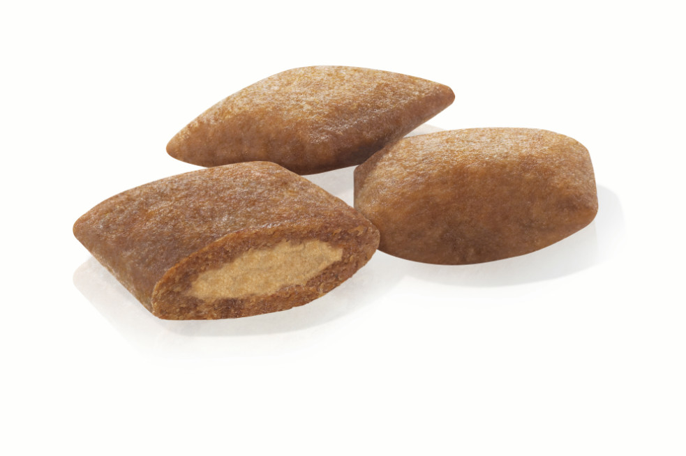 Royal Canin Energy Trainingssnack für Hunde
