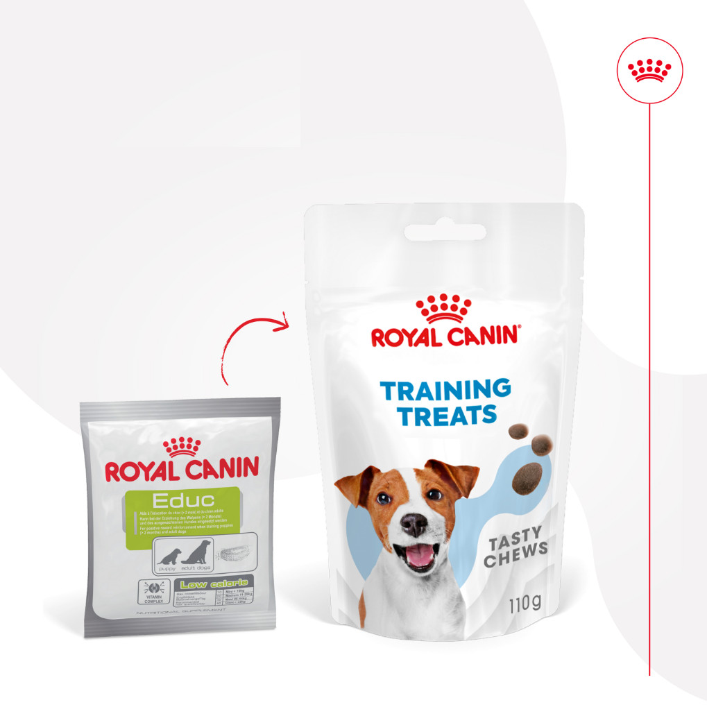 Royal Canin Educ Trainingssnack für Hunde