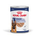 Royal Canin Maxi Adult Loaf Hunde-Nassfutter