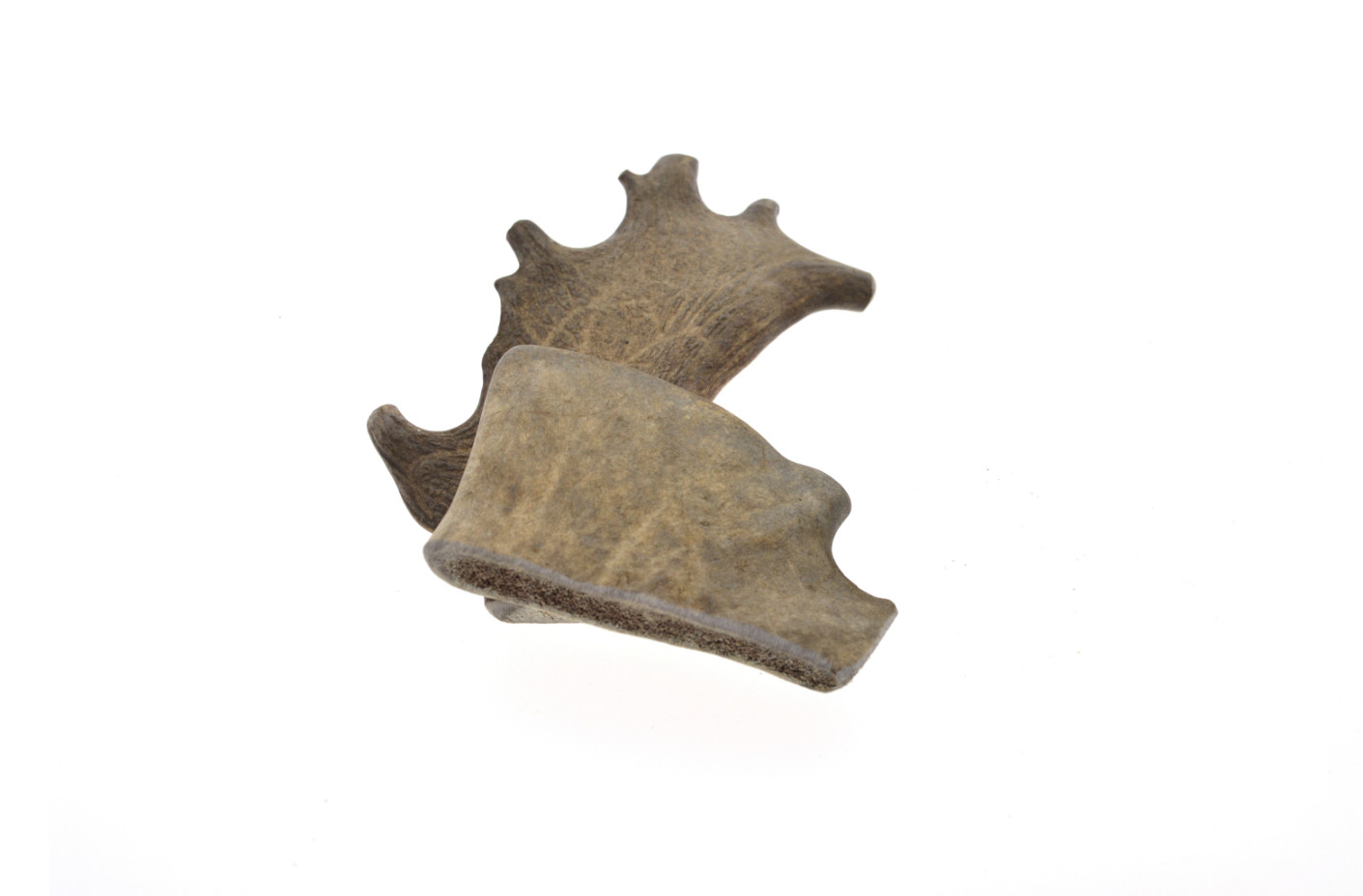 Zoolekker - Damhert gewei hondensnack