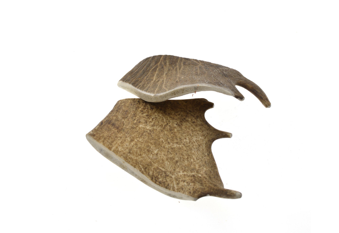 Zoolekker - Damhert gewei hondensnack