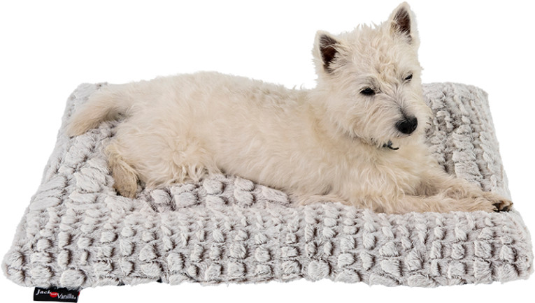 Jack & Vanilla Snakeskin hondenkussen