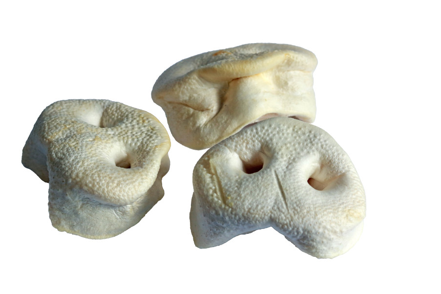 Brekz Snacks – gepuffter Schweinerüssel für den Hund