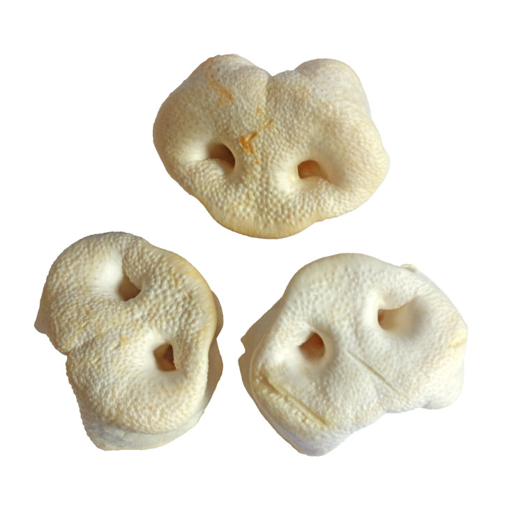 Brekz Snacks – gepuffter Schweinerüssel für den Hund