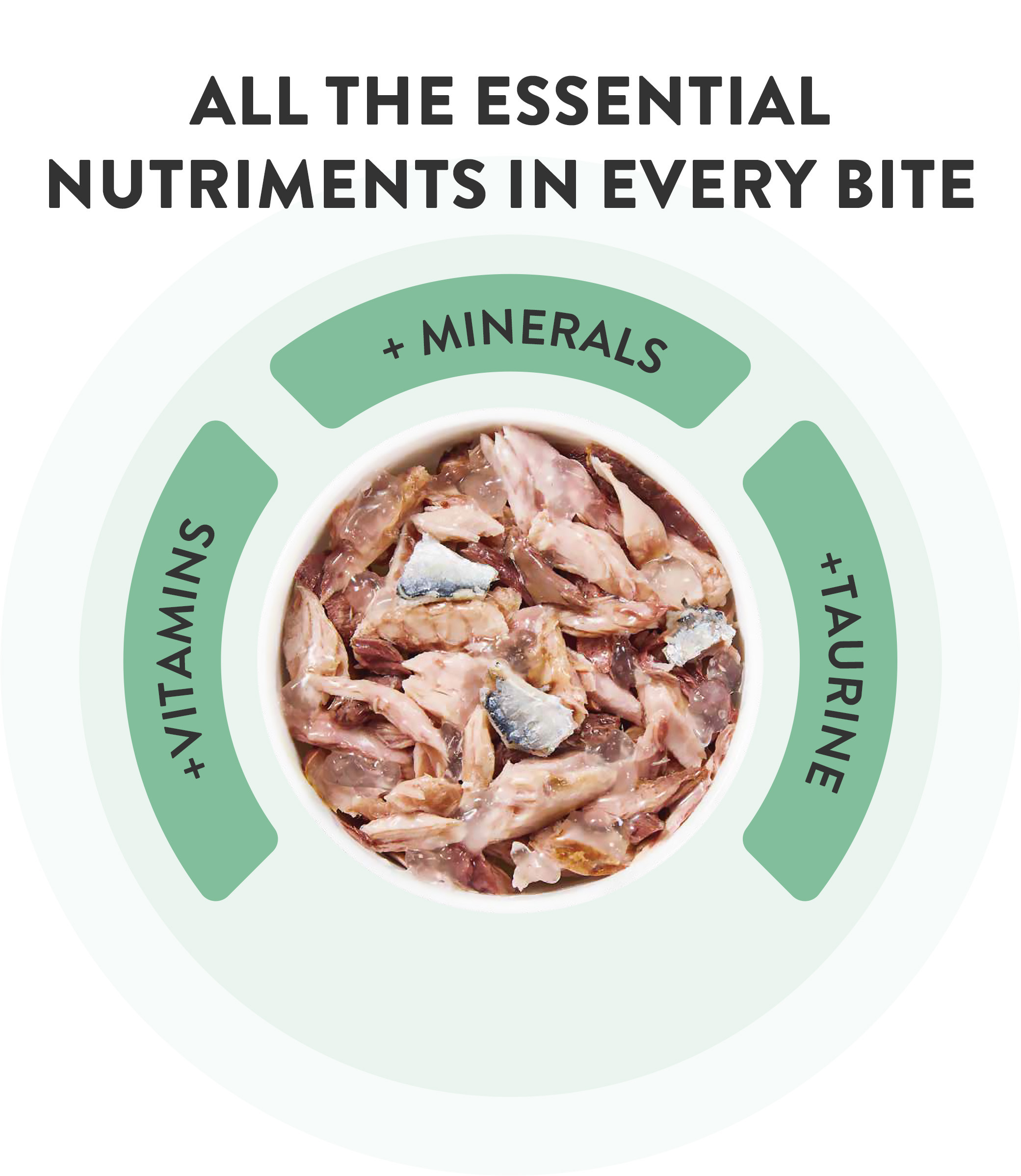 Schesir Thunfisch und kleinen Sardellen mit Reis natural style für Katzen