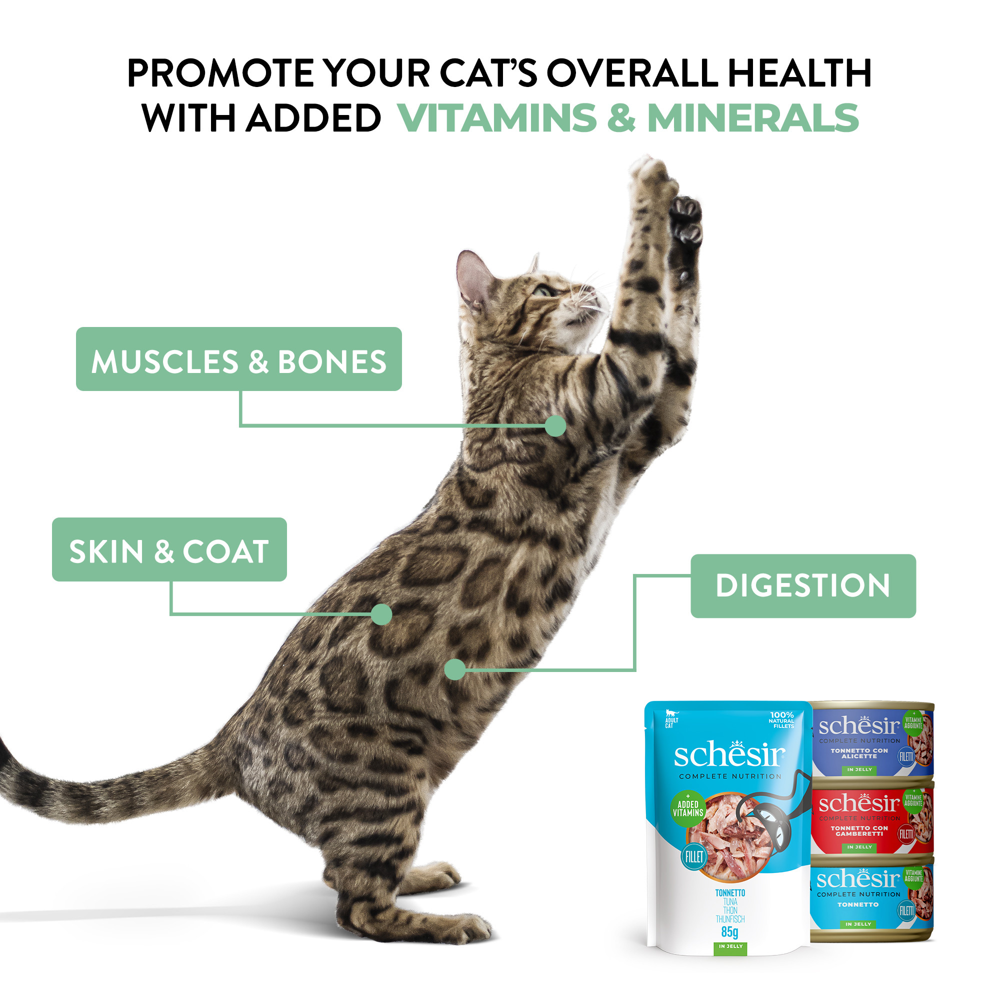 Schesir Thunfisch und kleinen Sardellen mit Reis natural style für Katzen
