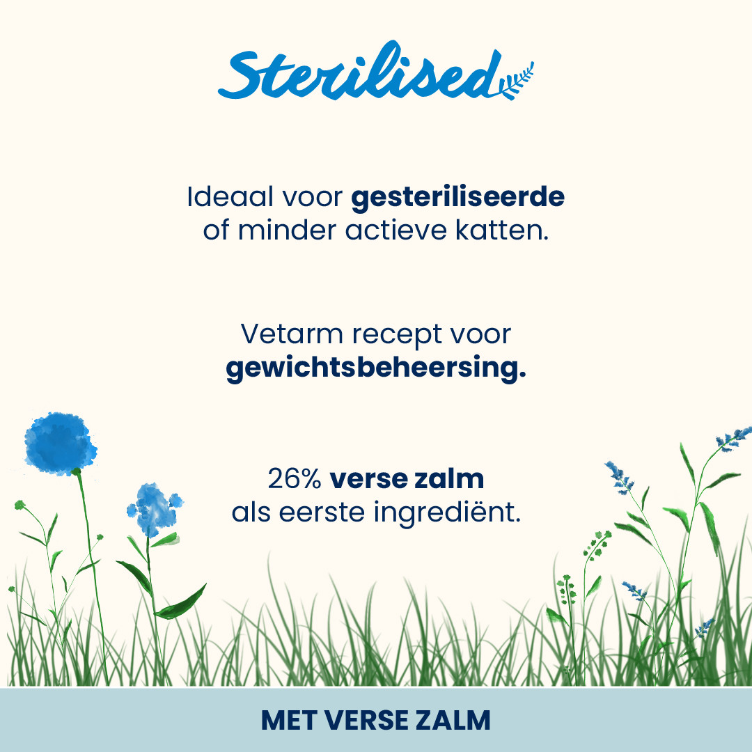 Almo Nature Sterilsed zalm kattenvoer