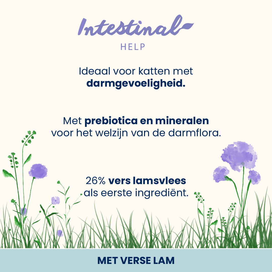 Almo Nature Intestinal Help lam kattenvoer