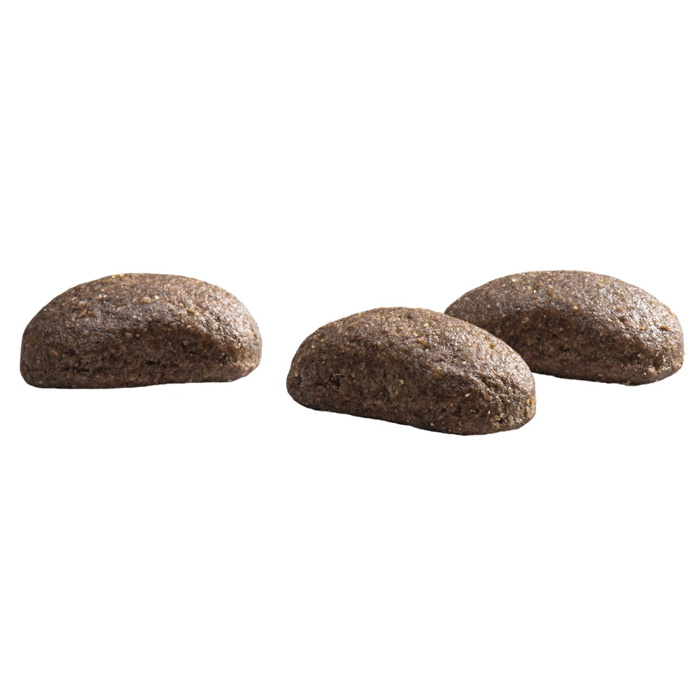 Prins ProCare Croque Hypoallergic mit Lamm & Reis Hundefutter