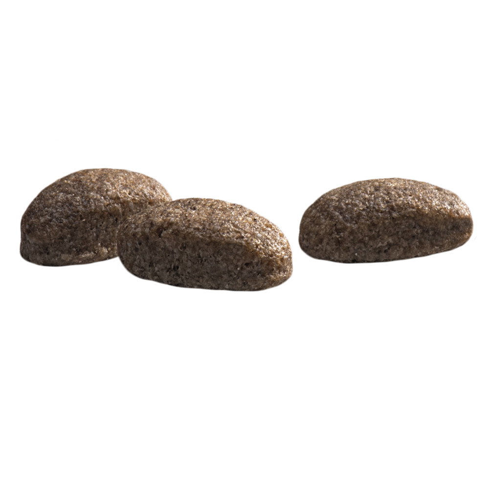 Prins Protection Croque Mini Hypoallergenic met lam hondenvoer