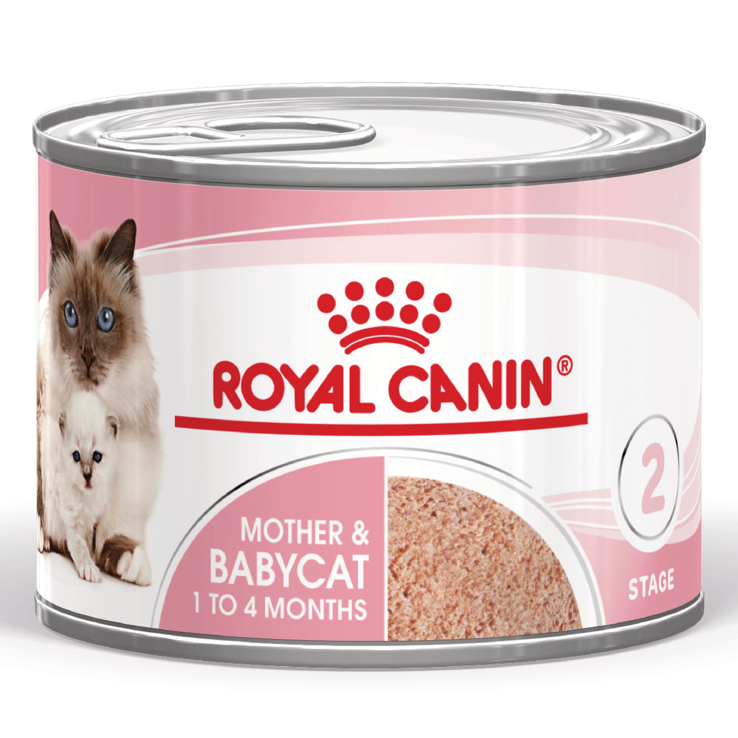 Royal Canin Mother & Babycat Katzen-Nassfutter (Mousse)