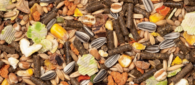 Kasper Fauna Gemengd Konijnenvoer Kasper Fauna Gemengd Konijnenvoer