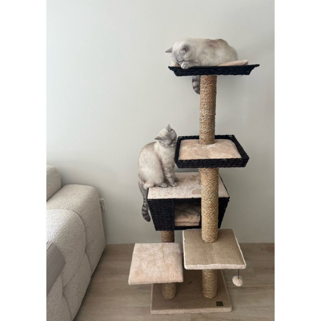 Krabpaal Trend Tree Curacao 48x48x141cm Krabpaal Trend Tree Curacao 48x48x141cm