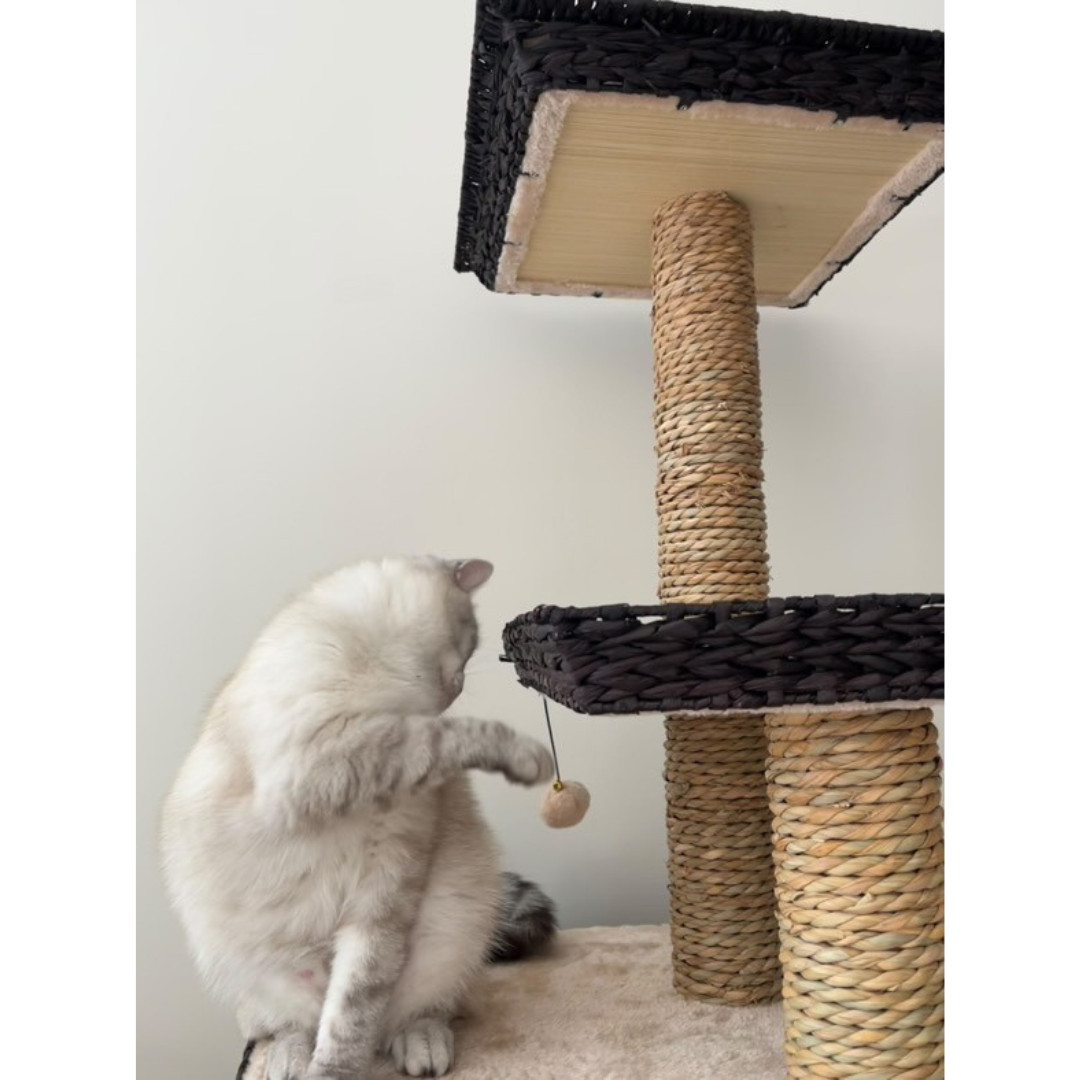 Krabpaal Trend Tree Curacao 48x48x141cm Krabpaal Trend Tree Curacao 48x48x141cm