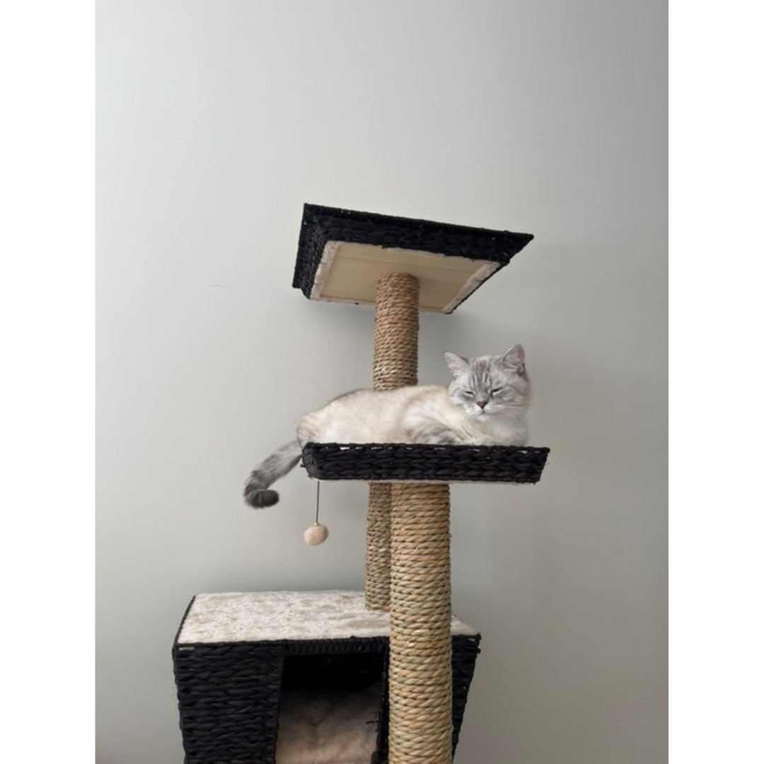 Krabpaal Trend Tree Curacao 48x48x141cm Krabpaal Trend Tree Curacao 48x48x141cm