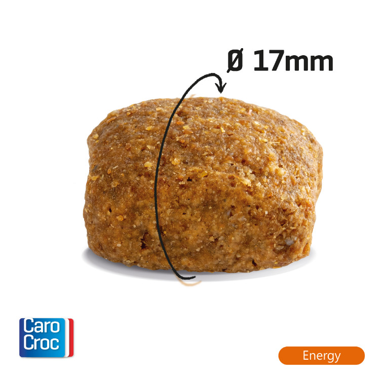 Carocroc 25/16 Energy Hondenvoer