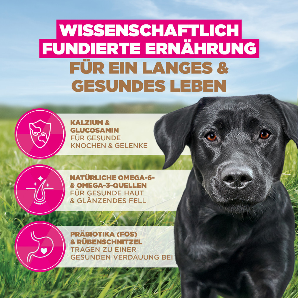 Eukanuba Adult Large kip graanvrij hondenvoer