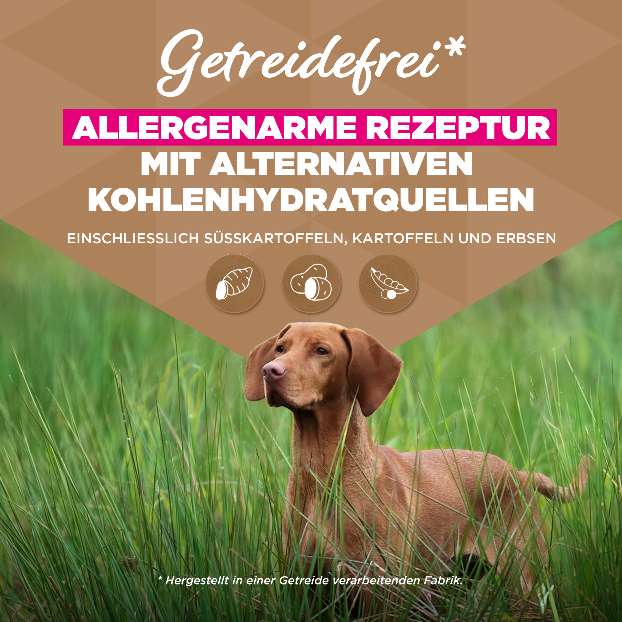 Eukanuba Adult Large kip graanvrij hondenvoer