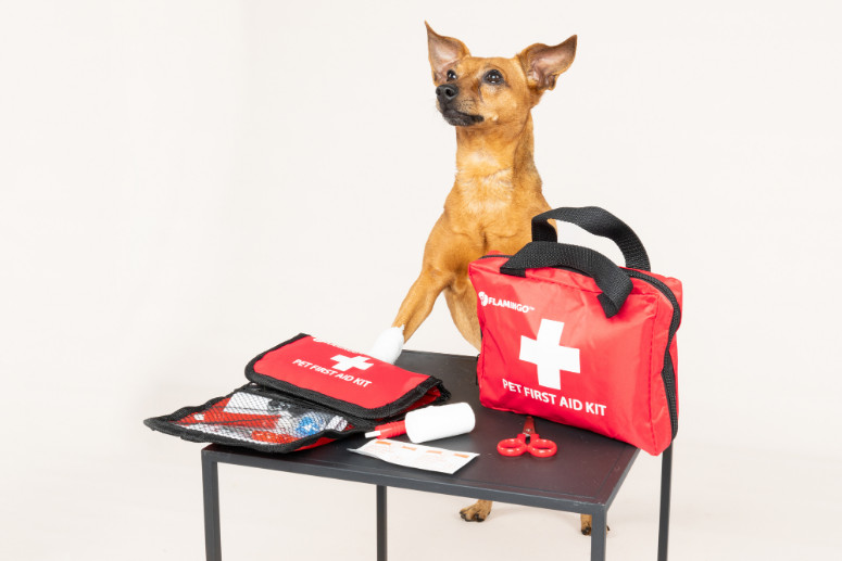 EHBO-kit Premium voor huisdieren
