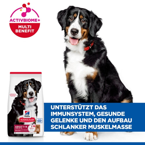 Hill's Adult Advanced Fitness Large Breed Lamm & Reis Hundefutter 