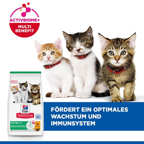 Hill's Kitten Healthy Development Huhn Katzenfutter