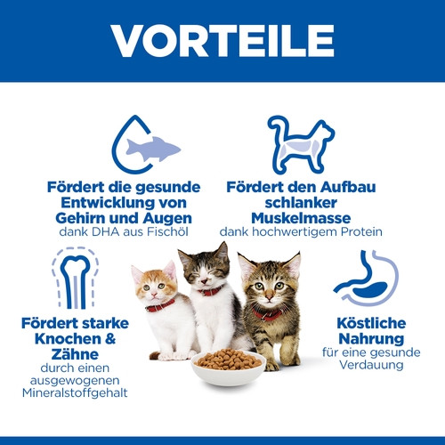 Hill's Kitten Healthy Development Huhn Katzenfutter