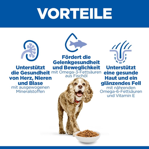 Hill's Senior 11+  Small & Miniature Kip hondenvoer