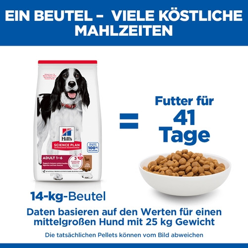 Hill's Adult Advanced Fitness Lamm & Reis Hundefutter 